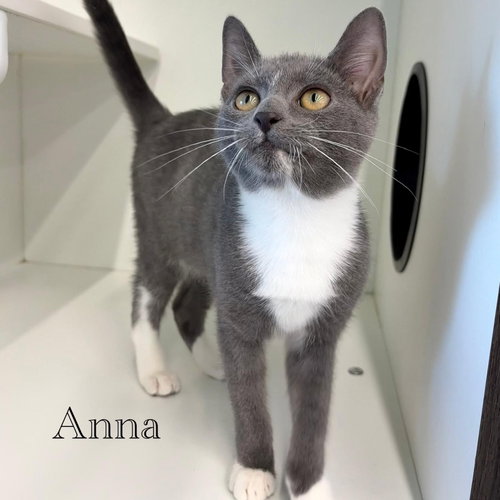 Anna photo 4