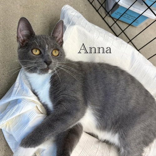 Anna photo 5