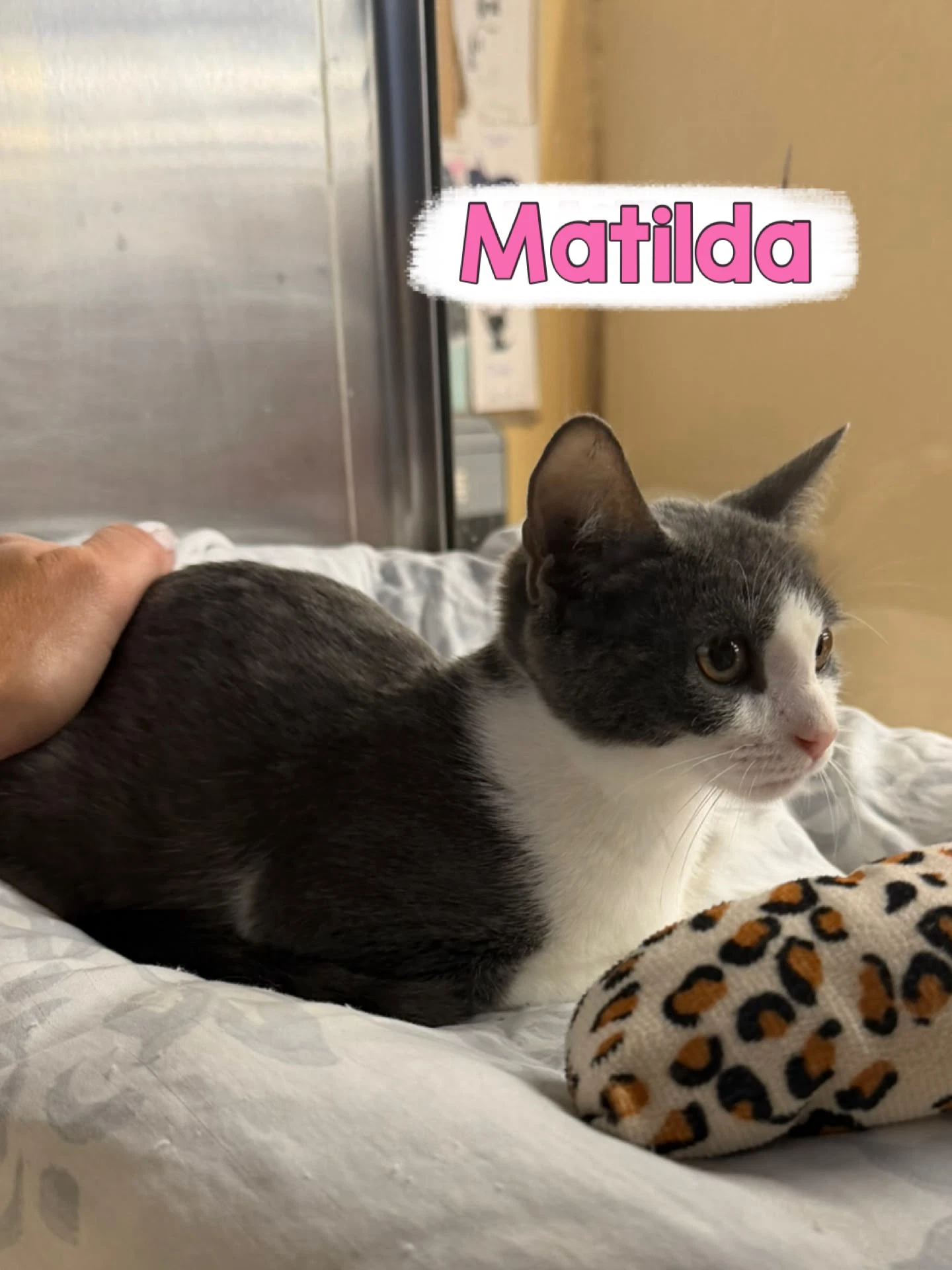 Matilda
