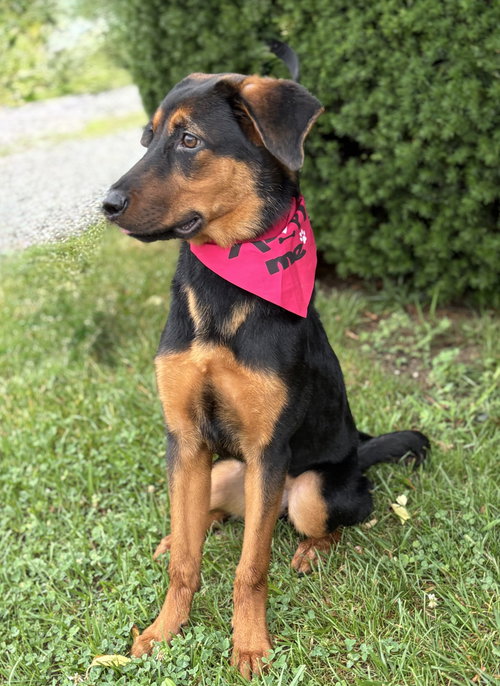 Nina photo 2