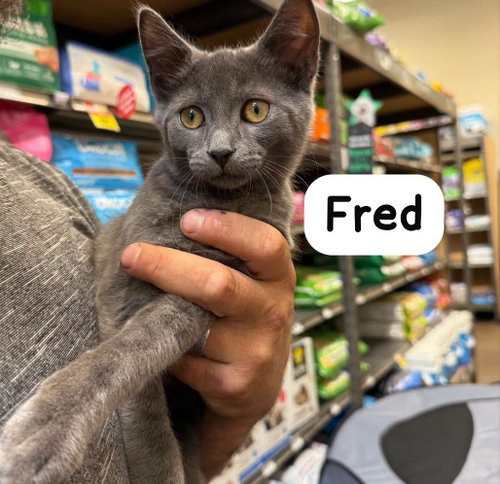 Fred