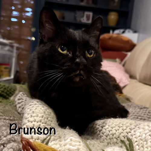 Brunson photo 2