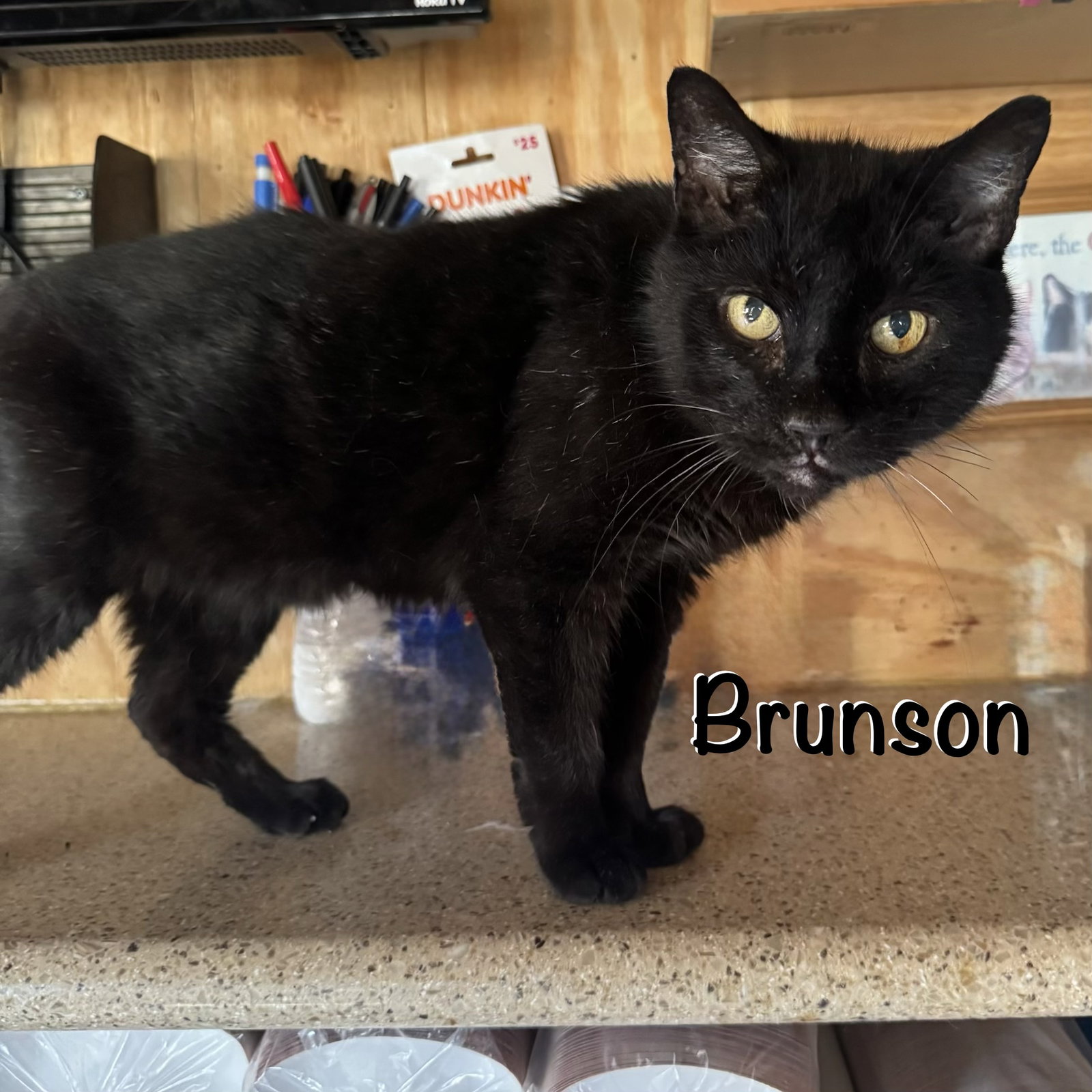Brunson