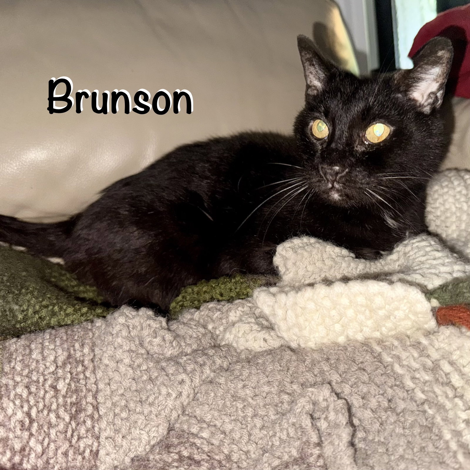 Brunson, photo 3