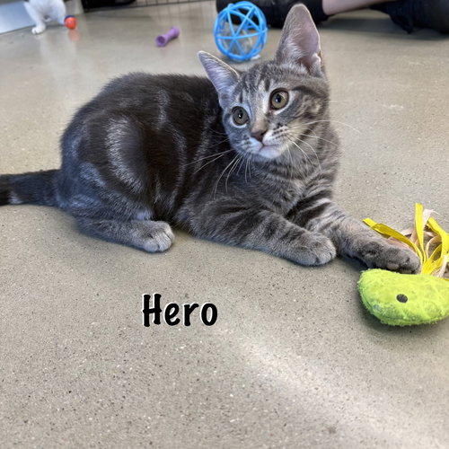 Hero photo 2