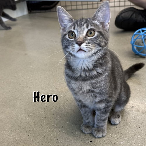 Hero photo 3