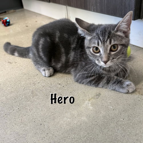 Hero photo 4
