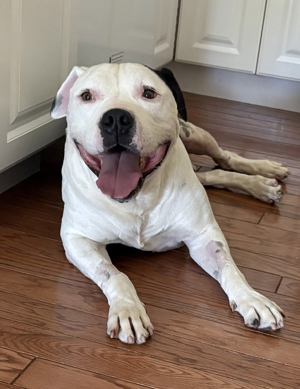 Duke