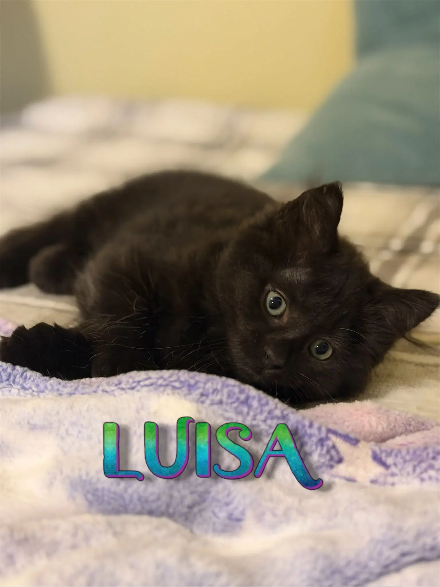 Luisa image 2