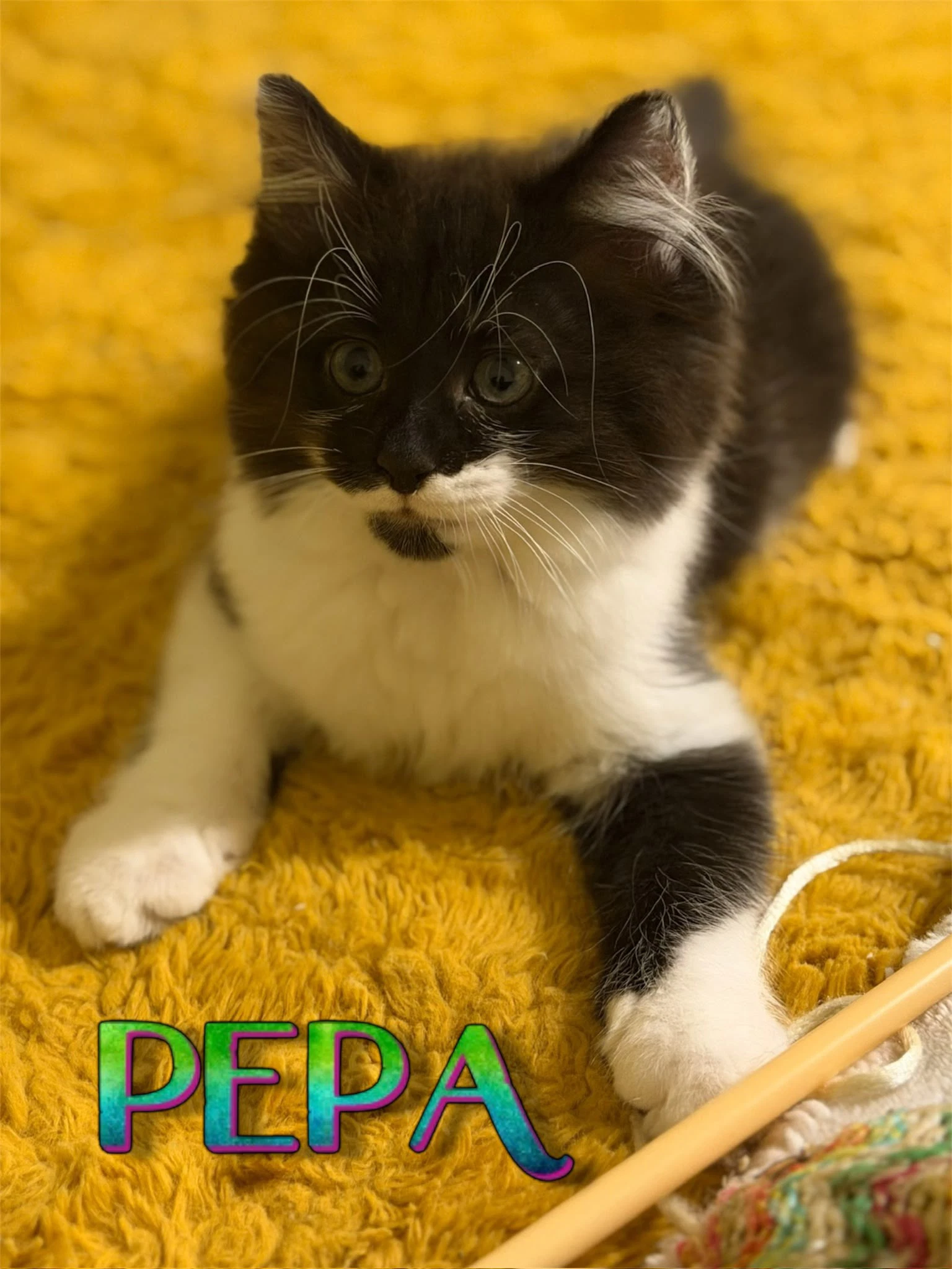 Pepa