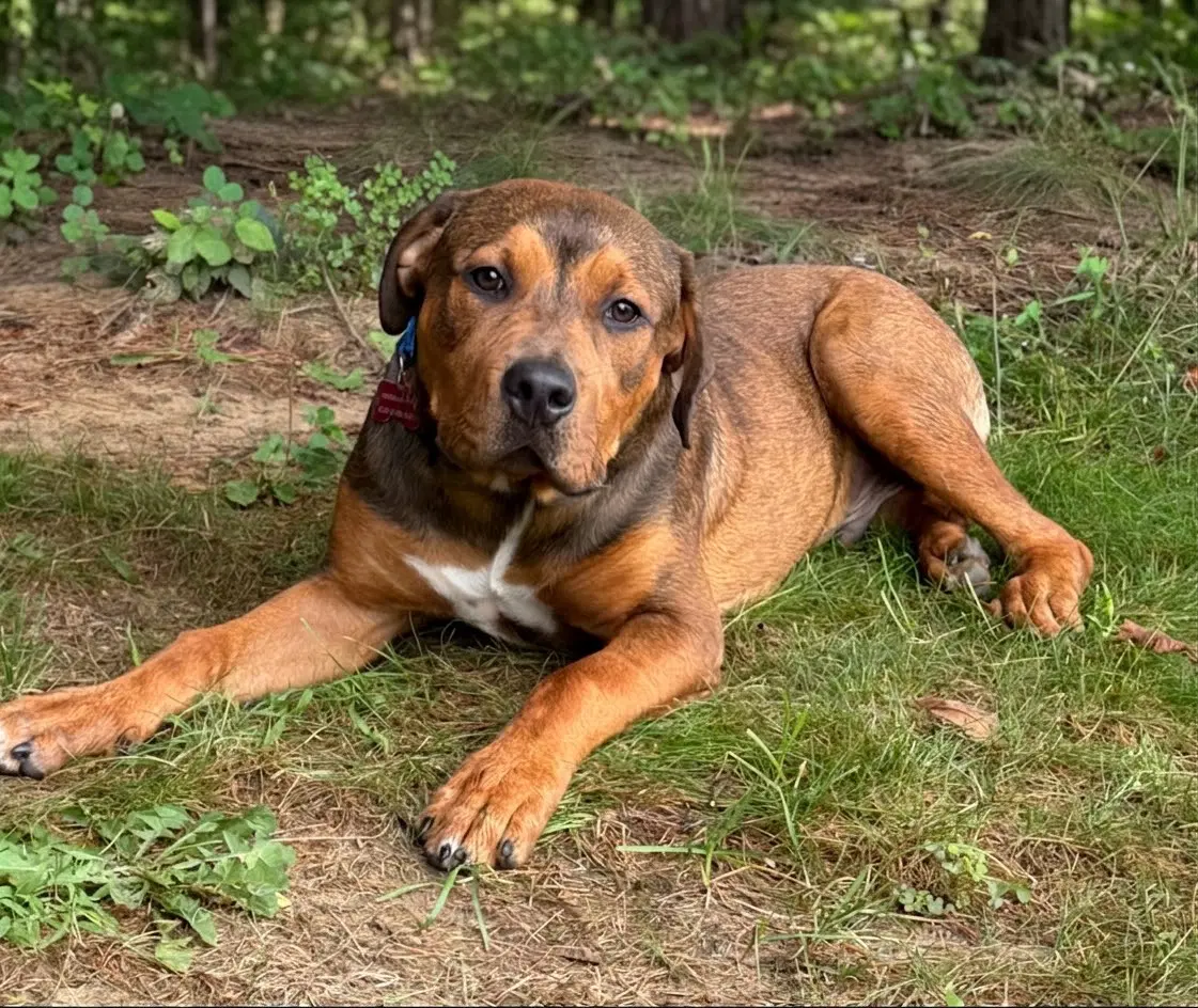 Sammy image 3