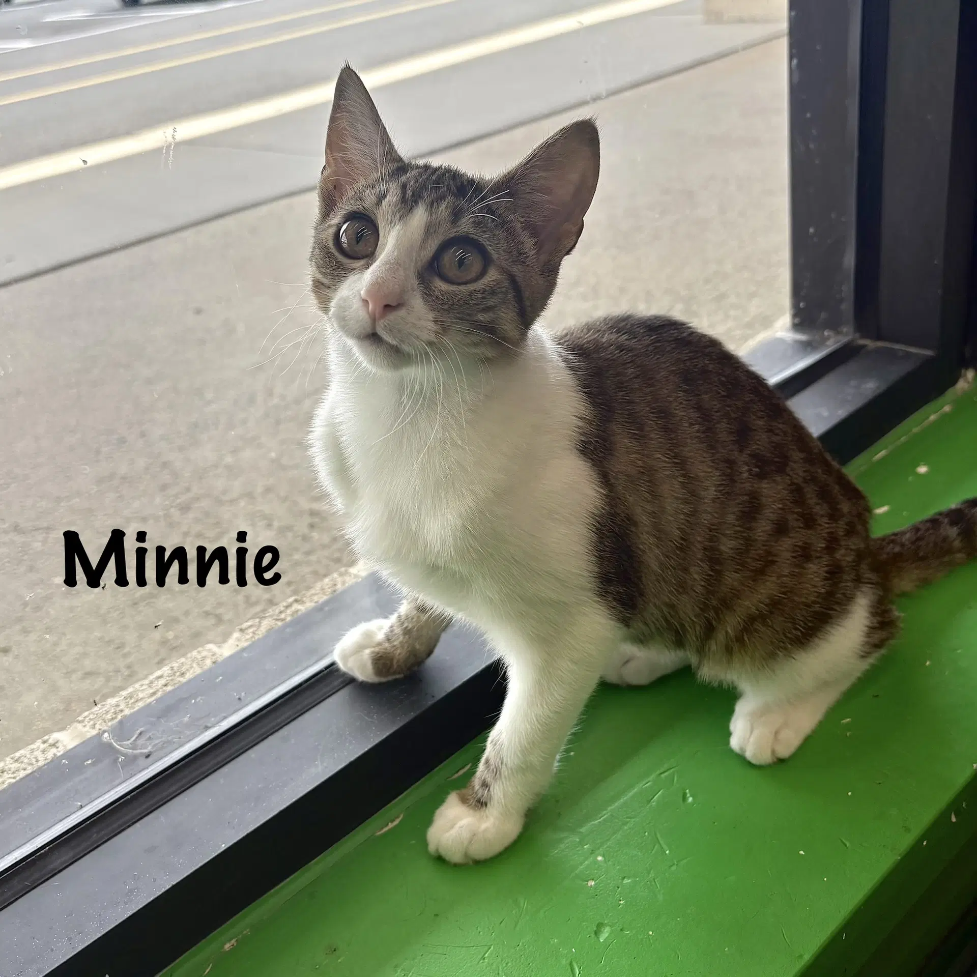 Minnie image 2
