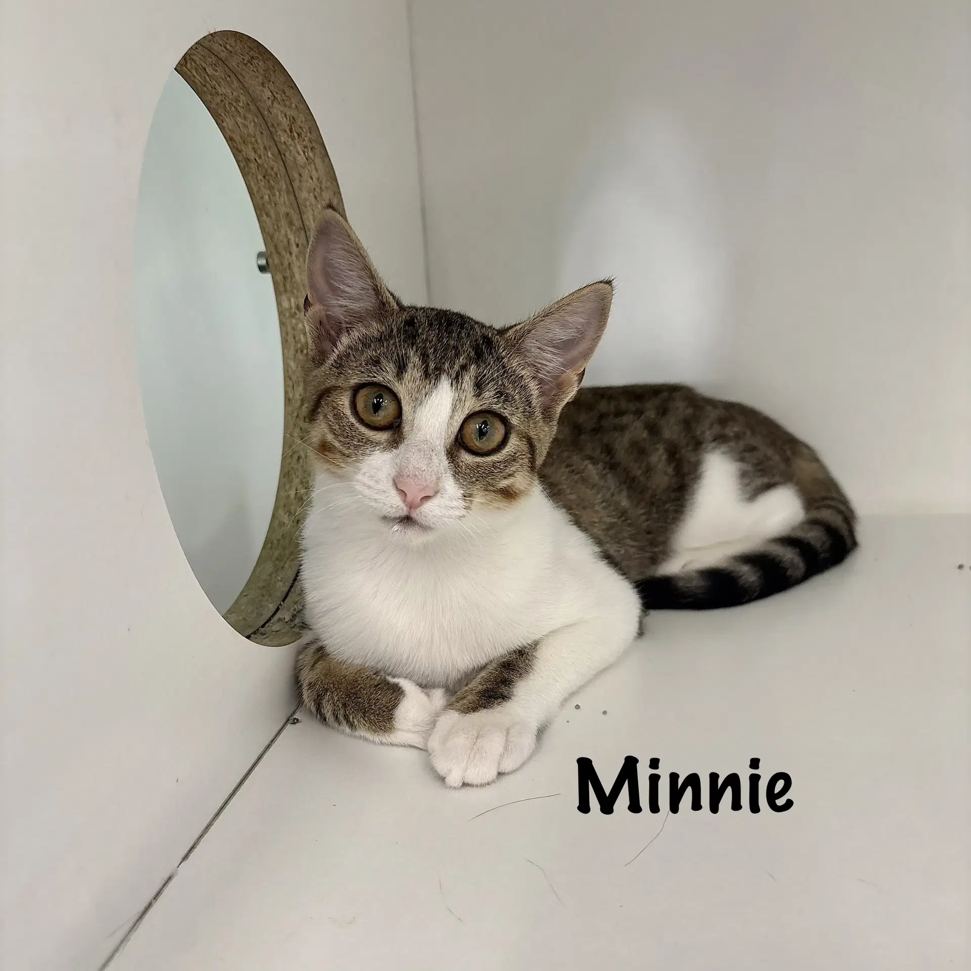 Minnie image 3