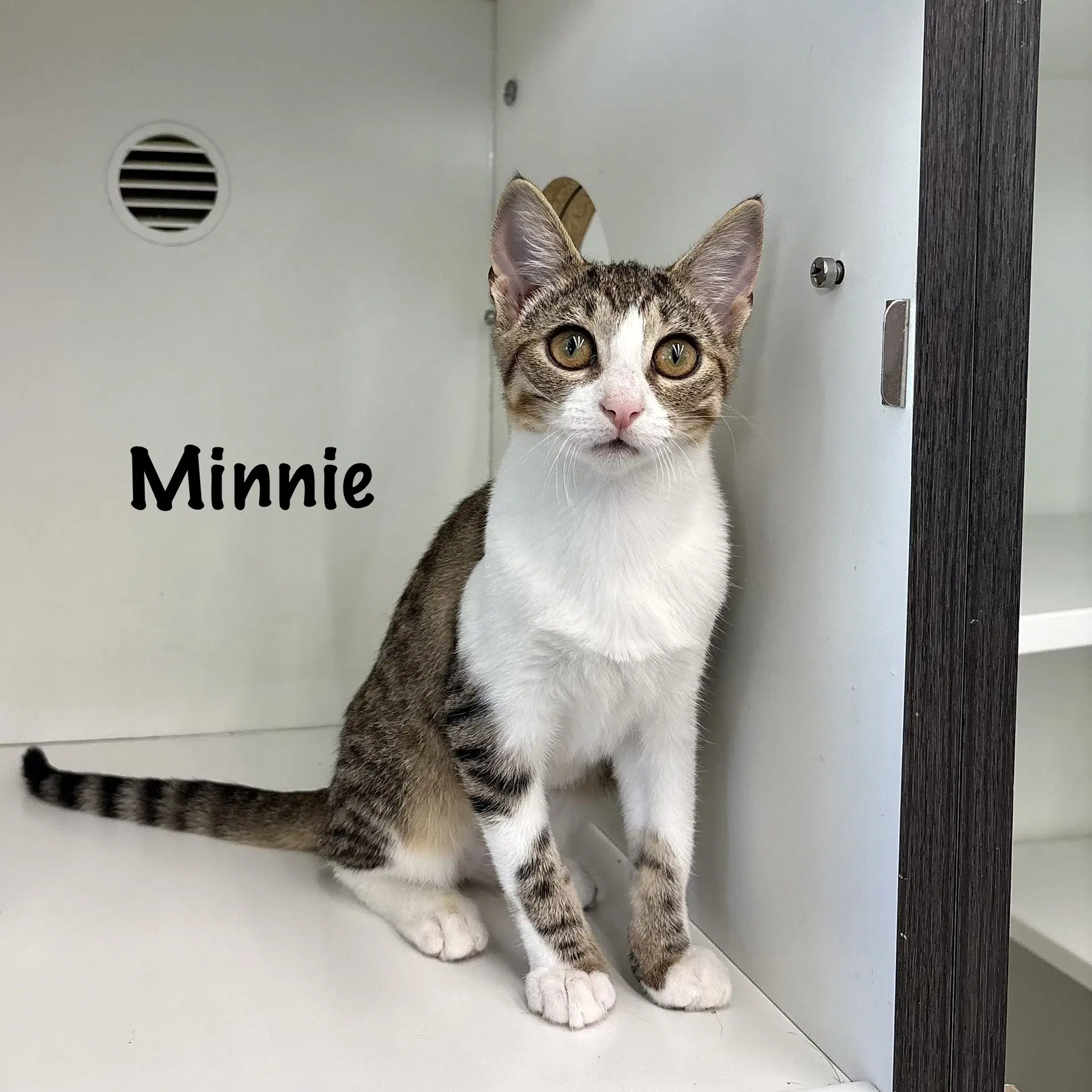 Minnie image 4