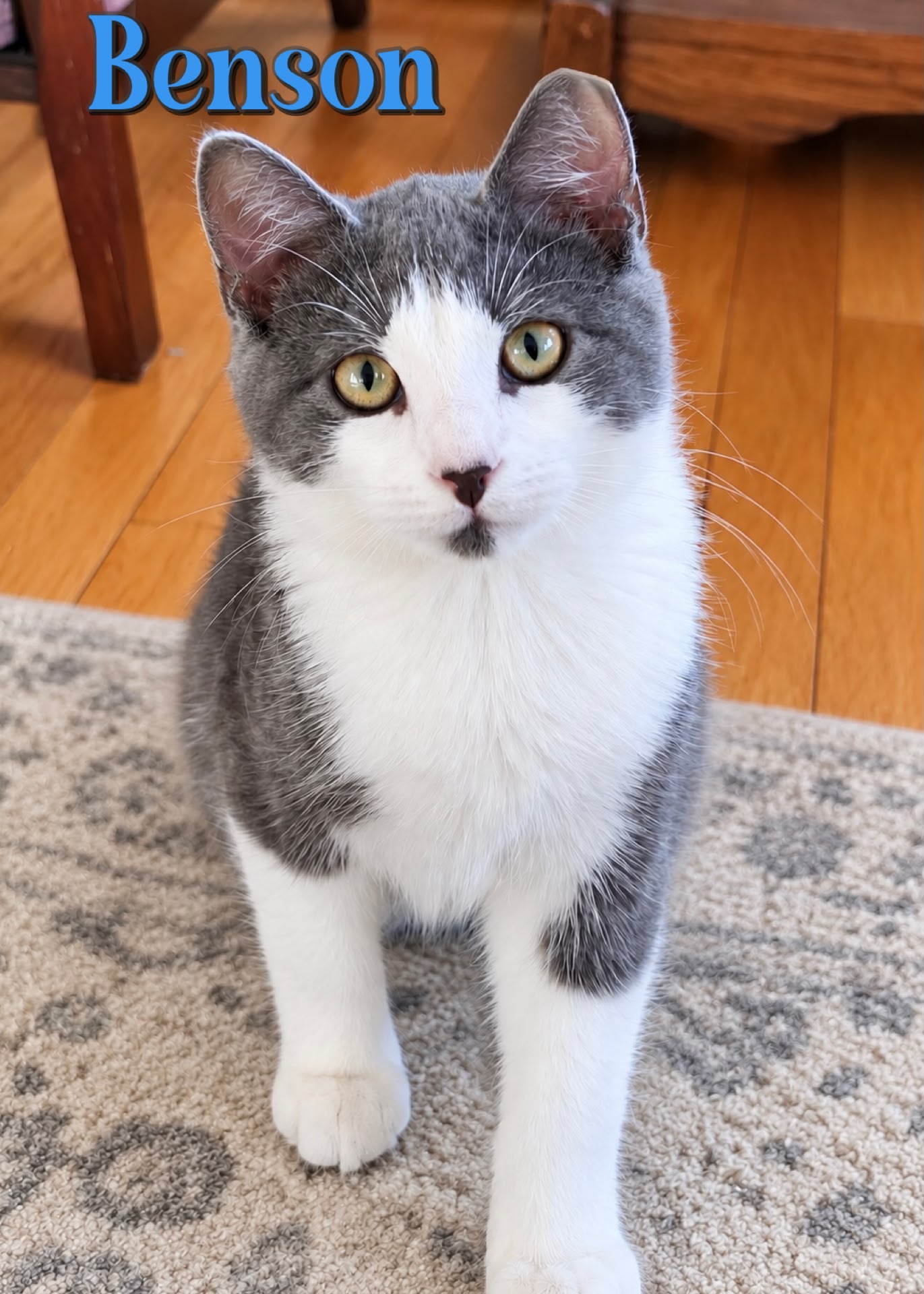 Benson