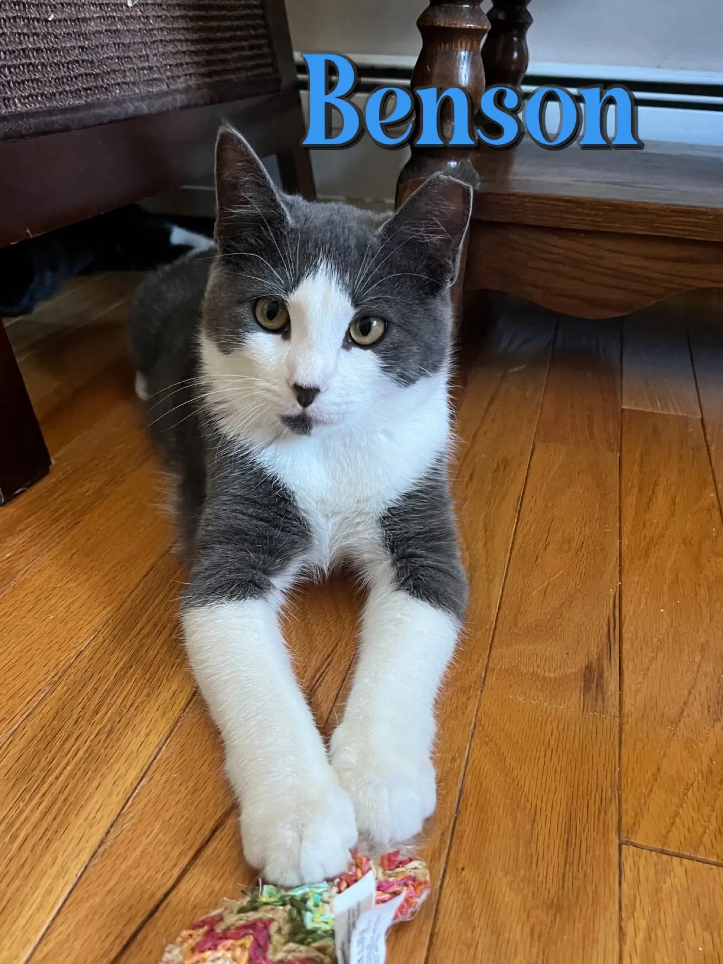 Benson image 2