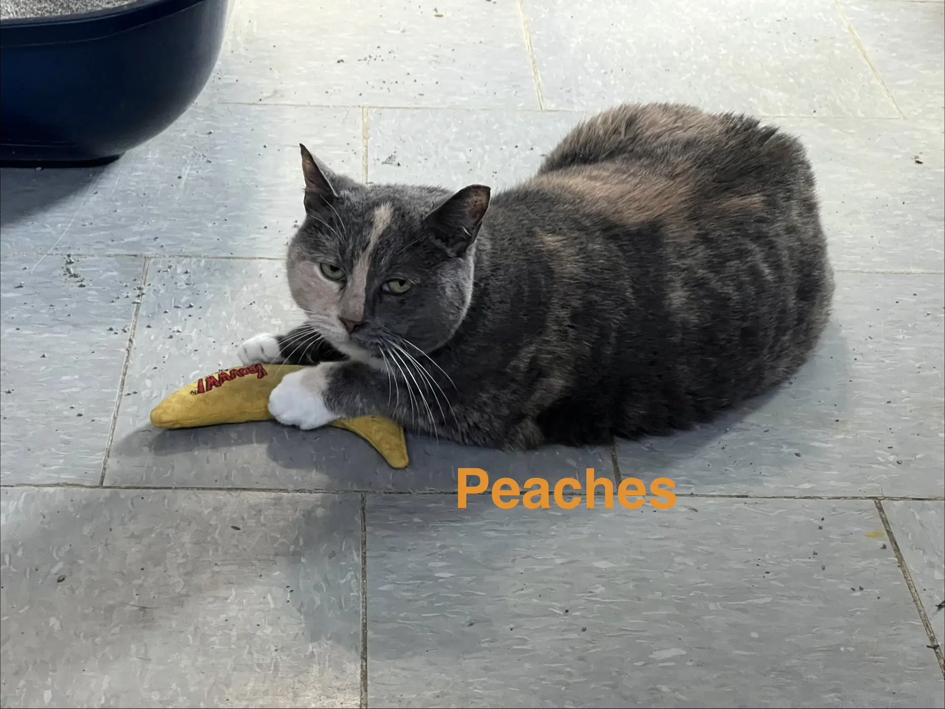 Peaches image 2