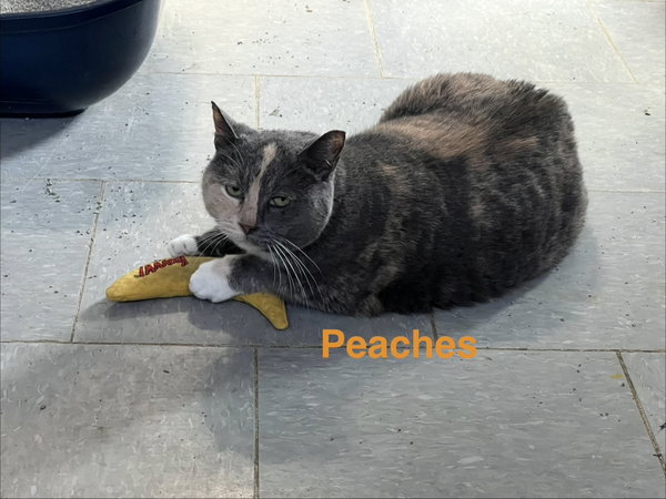 Peaches