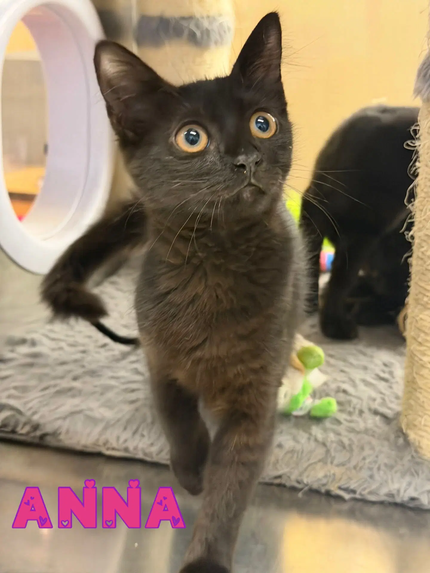 Anna image 1