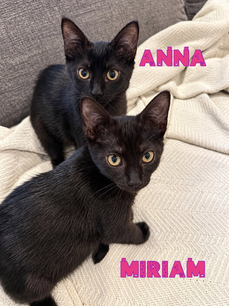 Anna, photo 4