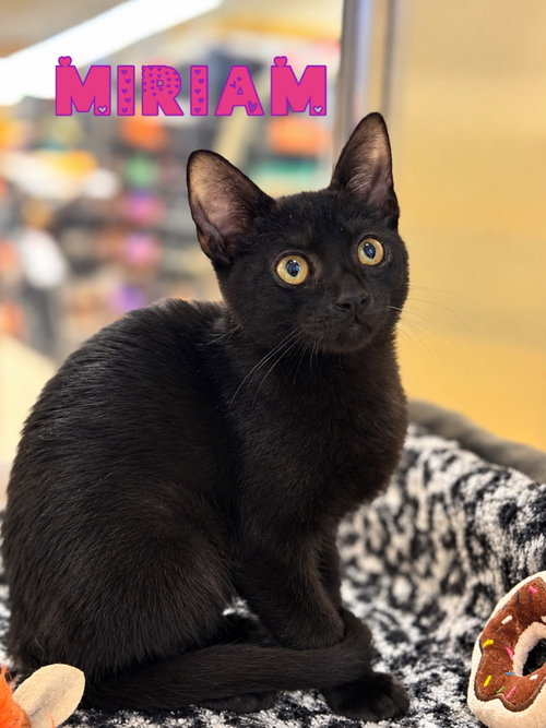 Photo 2 of Miriam
