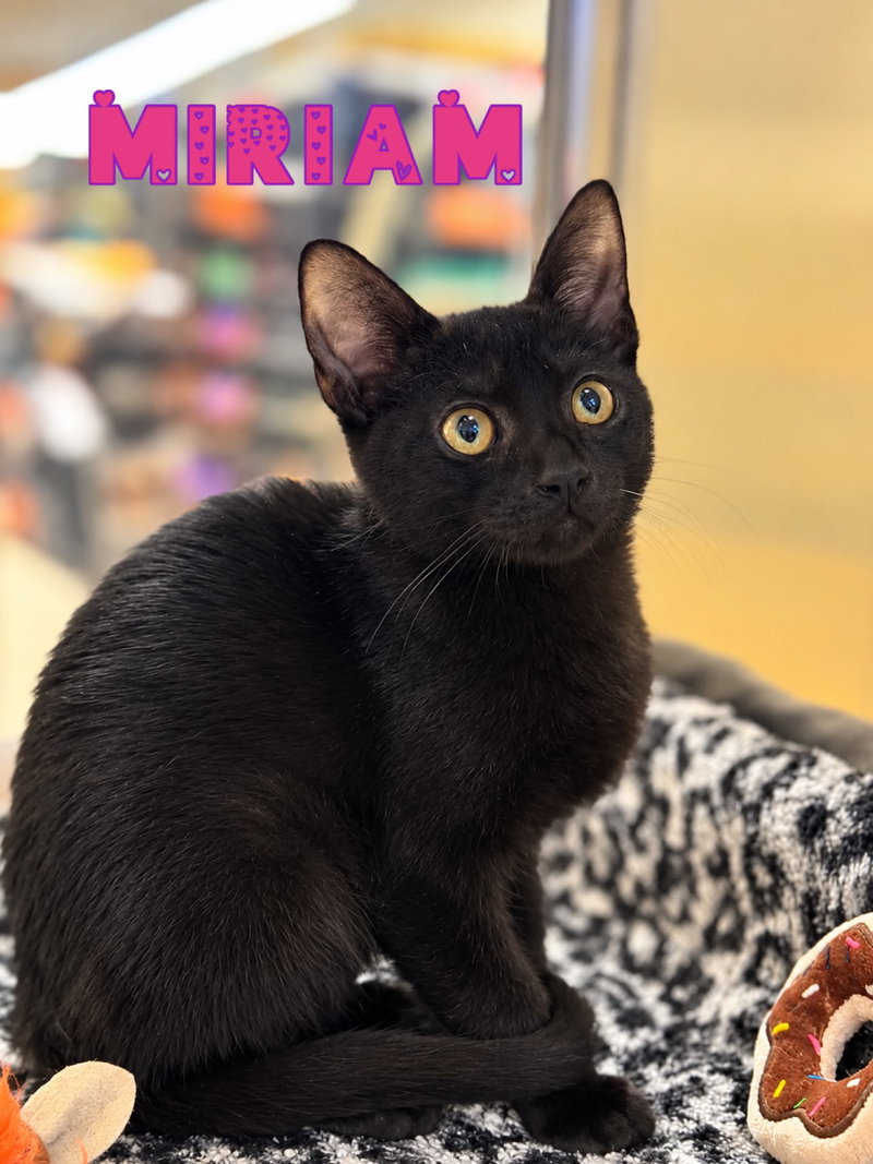 Miriam, photo 2