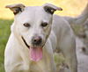 Chico