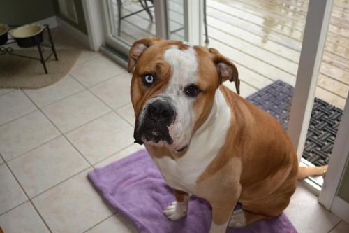 Kingston George (Courtesy Post)