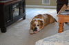 Kingston George (Courtesy Post)