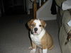 Kingston George (Courtesy Post)