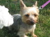 Zoey (Courtesy)