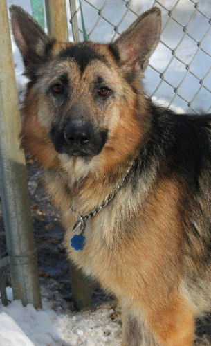 Rudy (Courtesy)