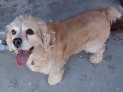 Max