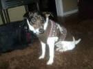 Roxy