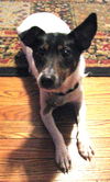 Roxy