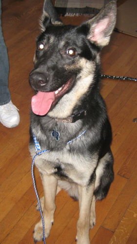 Max