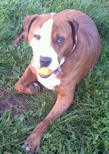 Aiden