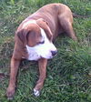 Aiden