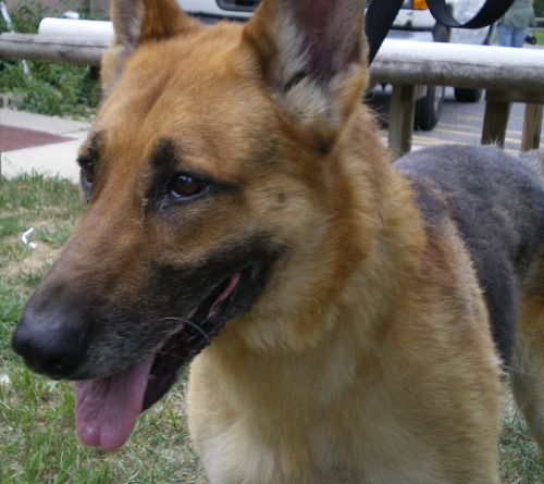 Max