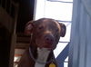 Addie