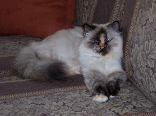 Smudge