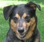 Maggie