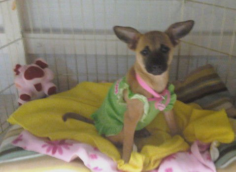Lilly