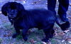 Jethro 'Jet'