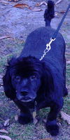 Jethro 'Jet'