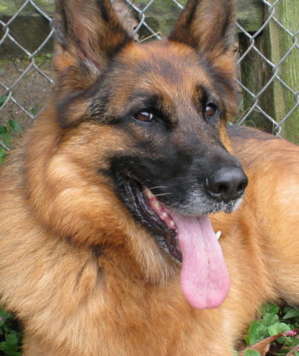 Max