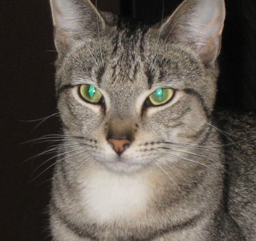 Little Silver