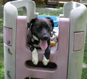 Max