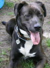 Max