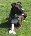 Koby- R.I.P.